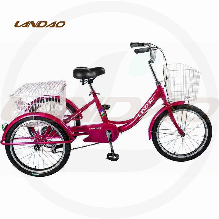 utility and loading  tricycle bike with steel alloy fork PLENTIFUL new shape design tricycle b European and Asian new  frame al