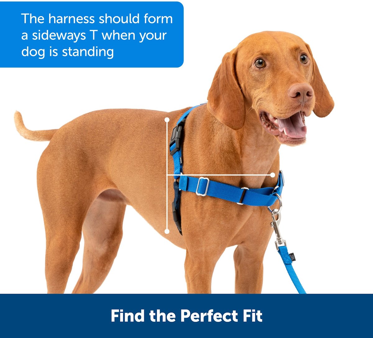 PetSafe Easy Walk Dog Harness