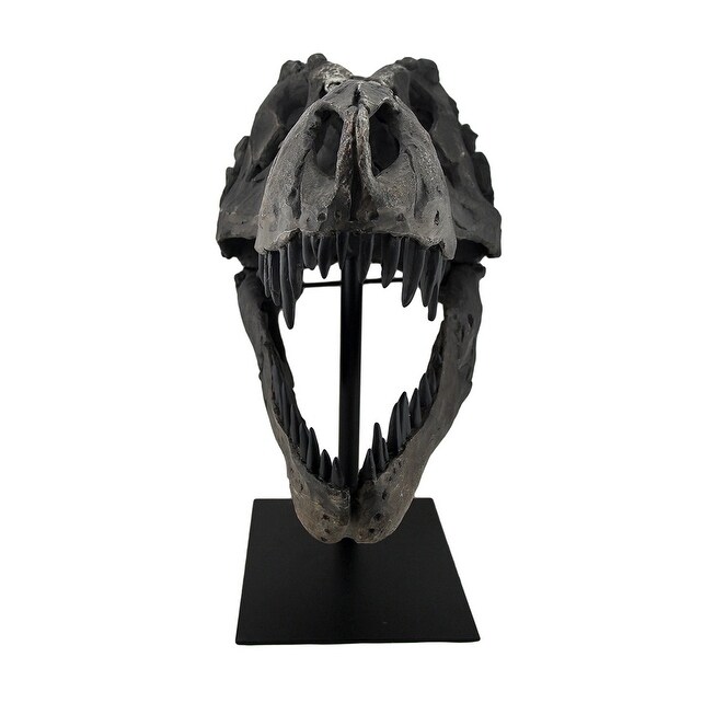 Tyrannosaurus Rex Replica Fossil Skull Statue On Museum Mount T Rex   19 X 18.5 X 12 inches