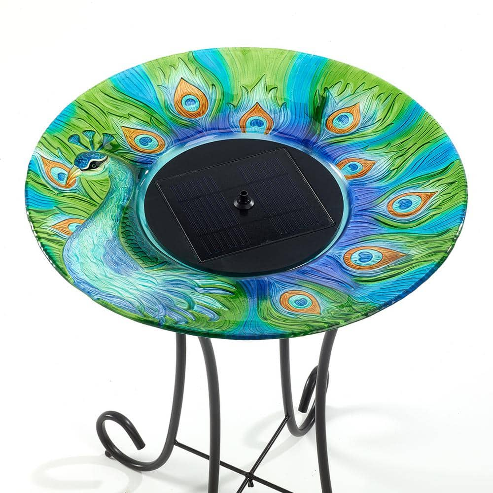 Smart Solar Argus Peacock Glass Solar Birdbath 20221R01