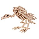 Skeleton Bird in Cage