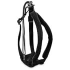 EveryYay Embrace the Pace Black No Pull Dog Harness， X-Small