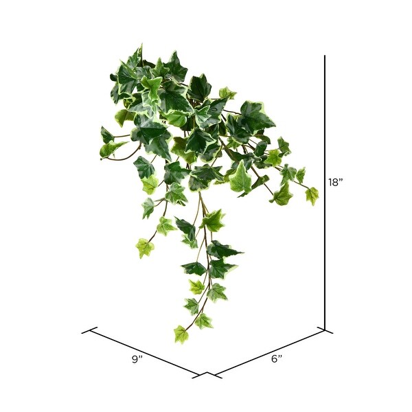 Vickerman 18 Artificial Varigated Ivy Hanging Bush，Set of 3