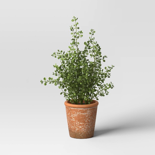 Unsheared Boxwood Artificial Plant - Threshold Designed With Studio Mcgee