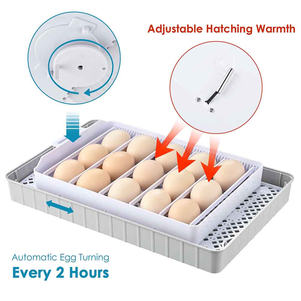 Yescom 12 Egg Digital Incubator Auto Turning LED Candling Hatcher