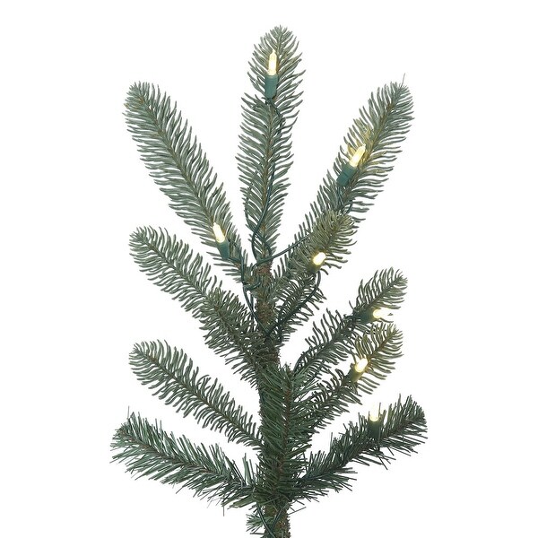 Vickerman 6' Alberta Blue Spruce Artificial Christmas Tree，Warm White Duralit LED Lights