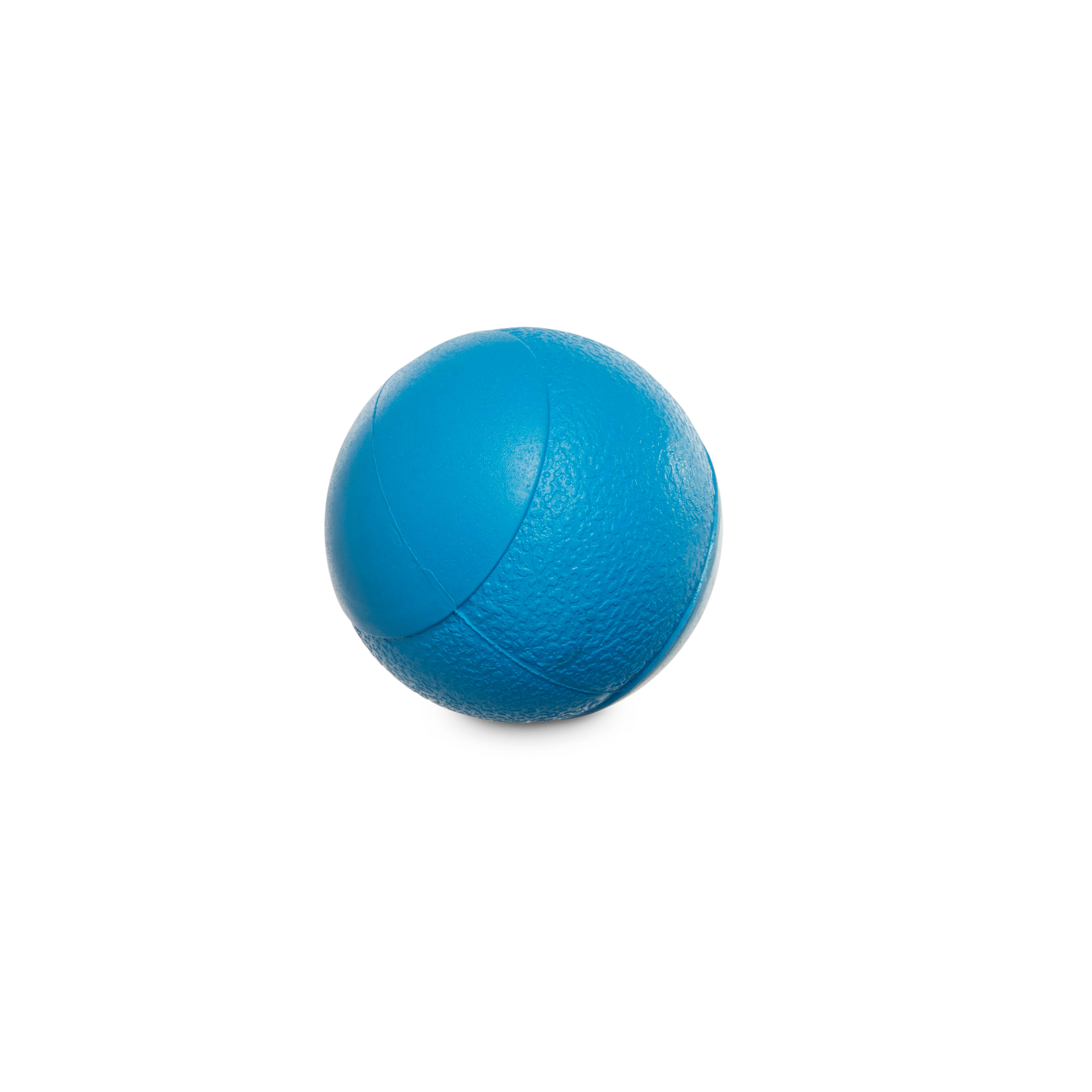 Leaps  Bounds Rubber-Like Material Squeak Ball Dog Toy， Small