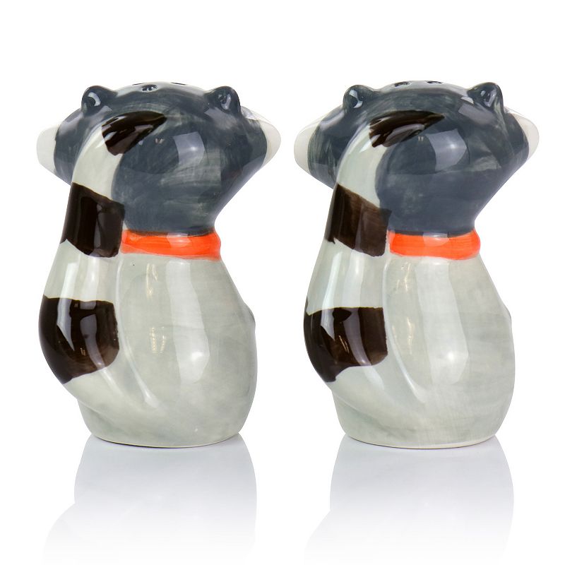 Gibson Everyday Woodland Raccoon 2 Piece Hard Dolomite Salt and Pepper Set