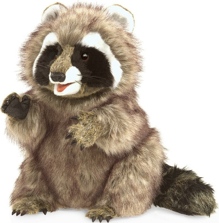 Raccoon