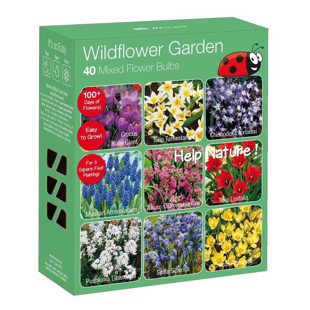 national PLANT NETWORK Wild Flower Garden Nature Friendly Collection Multi-Colored Assorted Perennials Bulbs (40-Pack) HD7541