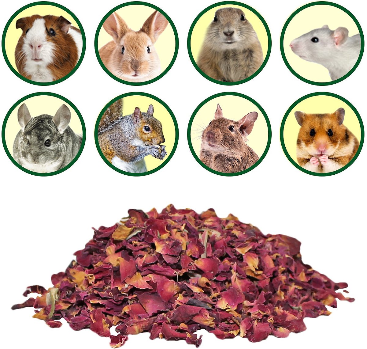 Exotic Nutrition Rose Petals and Buds Small Pet Treats