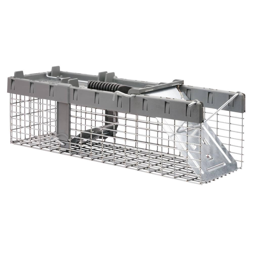 Havahart Small 1-Door Humane Live Catch and Release Animal Cage Trap for Squirrels Weasels Chipmunks 1026