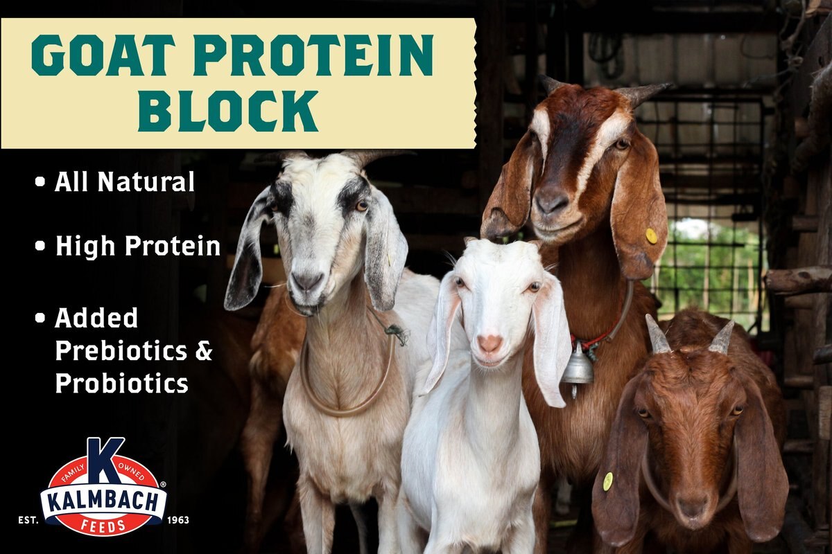 Kalmbach Feeds All Natural Protein Goat Supplement， 25-lb block