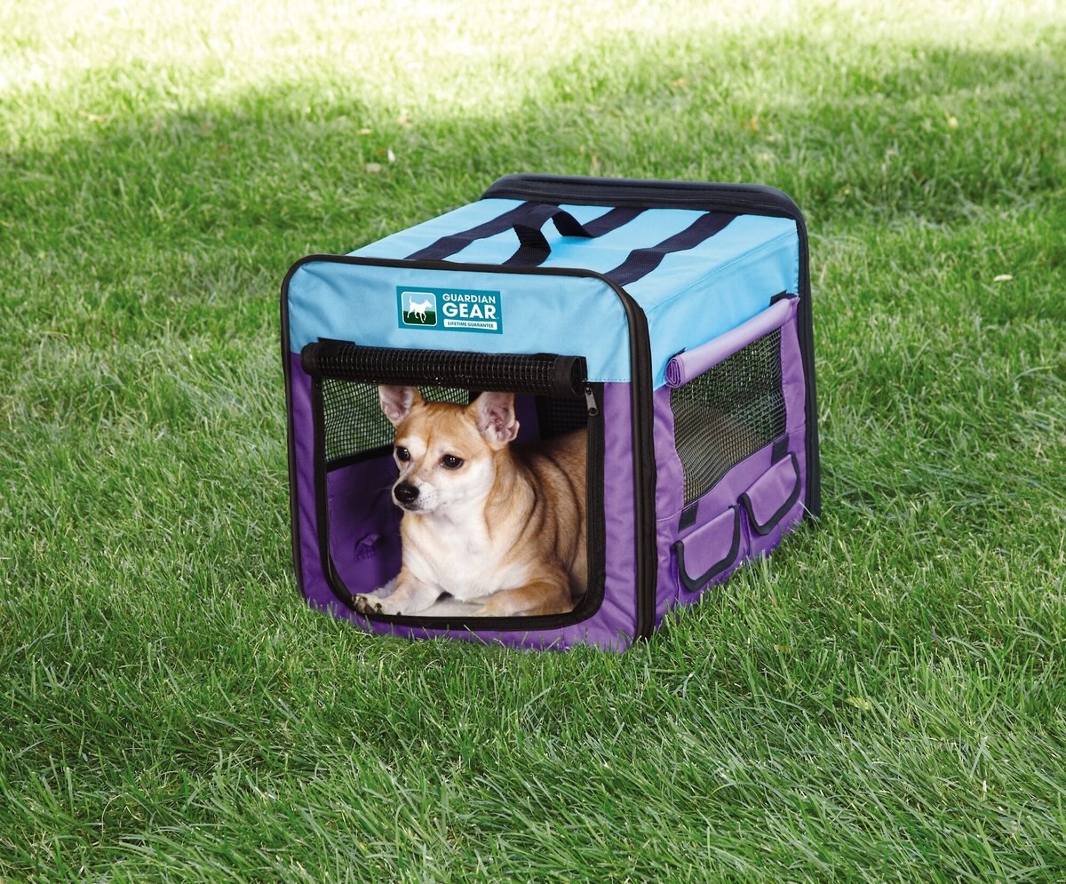 Guardian Gear Single Door Collapsible Soft-Sided Dog Crate