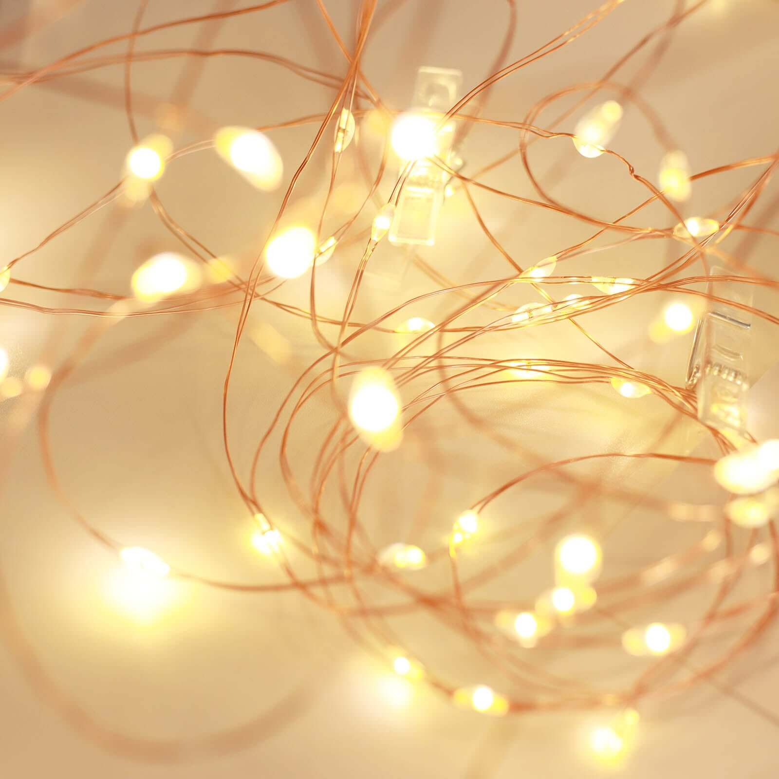 Warm White 100 LED Clear Photo Clip Fairy String Light Garland 32ft