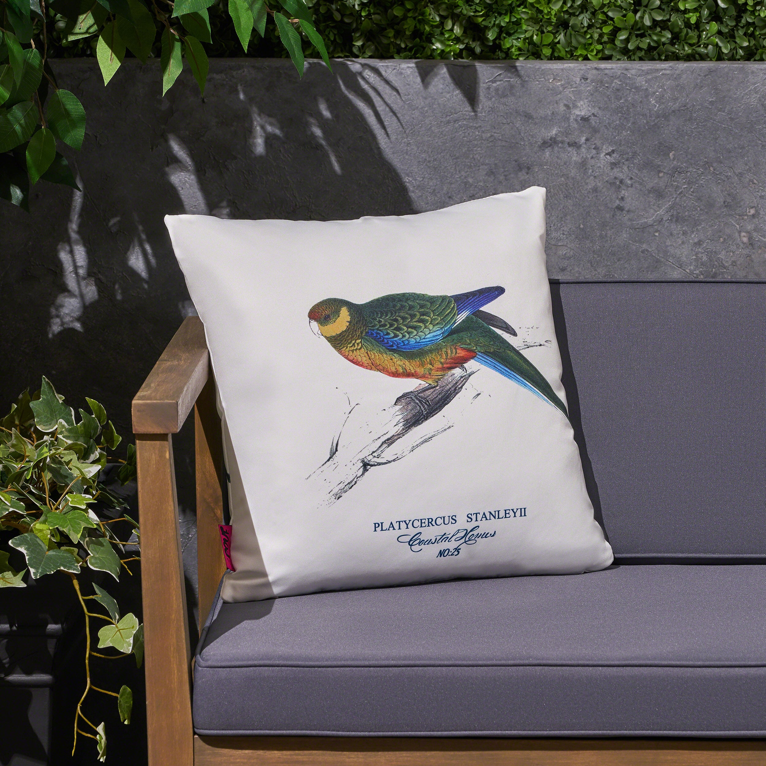 Minric Outdoor Cushion, 17.75