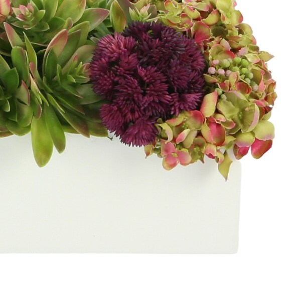 Sedum and Thistle Arranged in Rectangular Planter