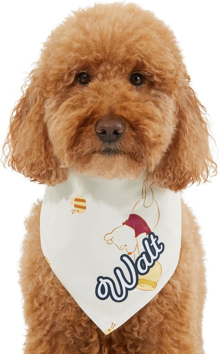 Disney Winnie the Pooh Personalized Dog and Cat Bandana