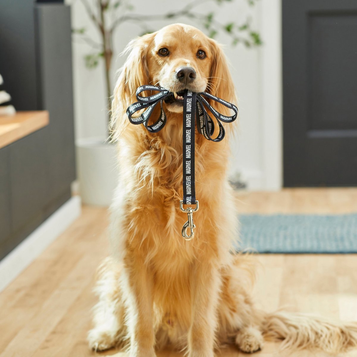 Marvel Logo Dog Leash