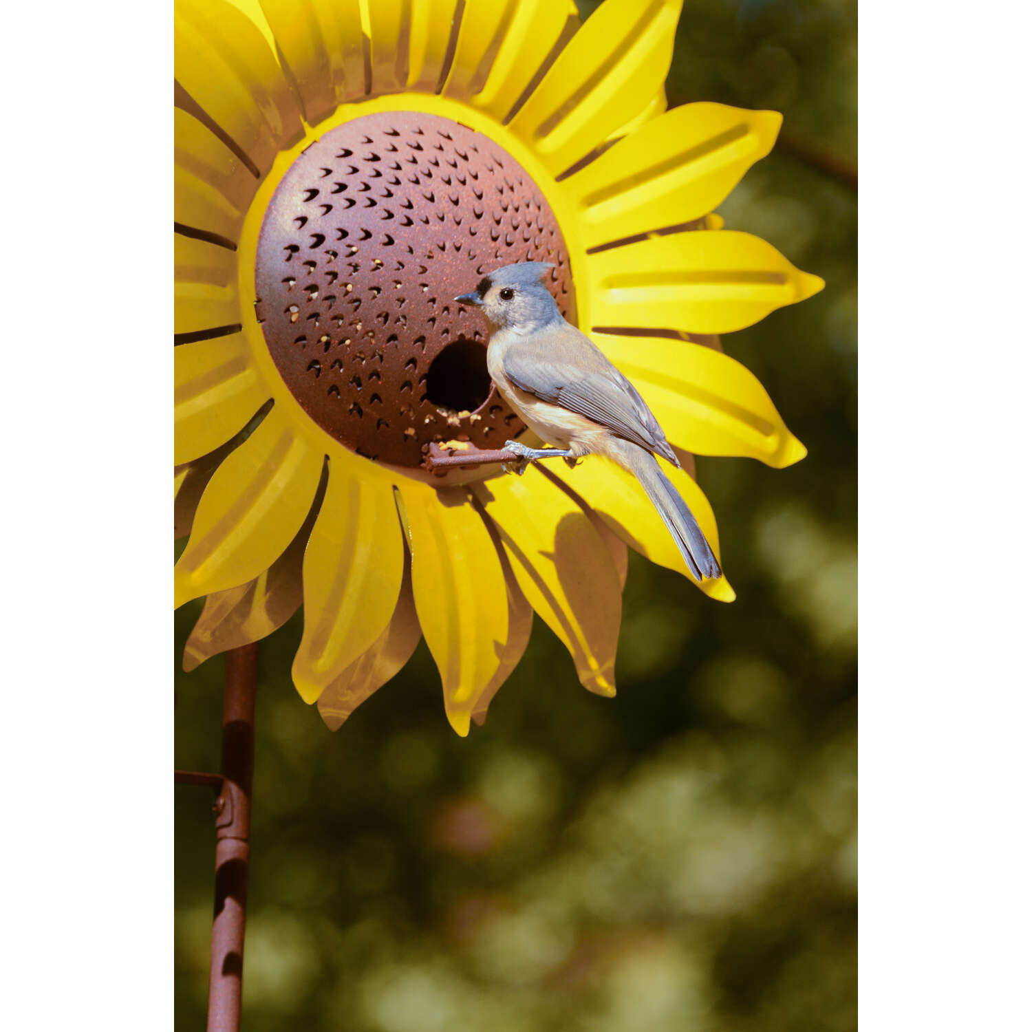 Desert Steel Wild Bird 12 oz Steel Sunflower Bird Feeder 1 ports