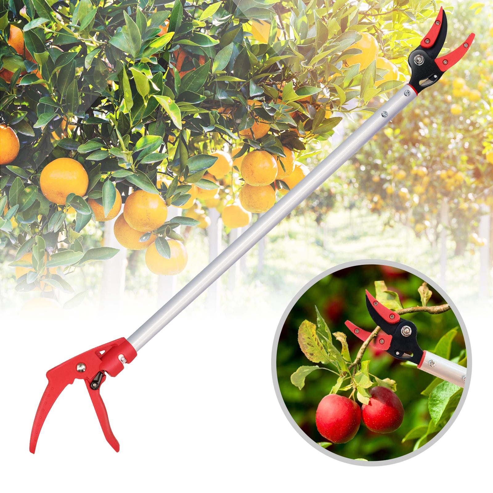 Hortem Pruning Shears Set, 32-Inch Long Tree Reach Pruner or Fruit Picker and Bypass Pruner