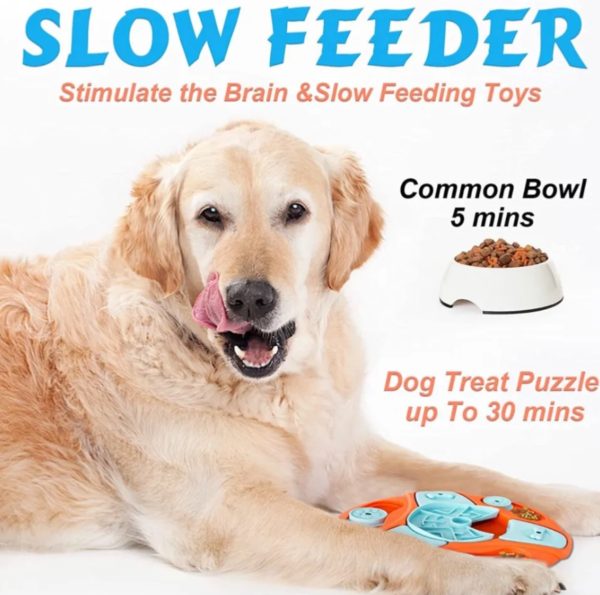 IQ Training and Cognitive Development: Brain-Boosting Dog Food Puzzle Toys