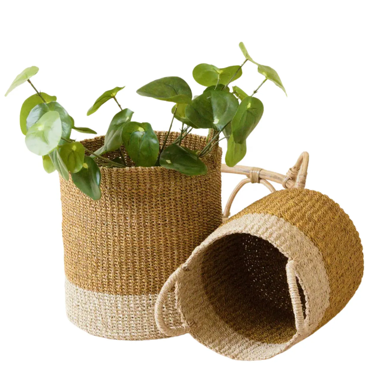 Set of 2 Seagrass Planter Basket Eco Friendly Flower Pots   Planters OEM Design Customized Handmade in Vietnam