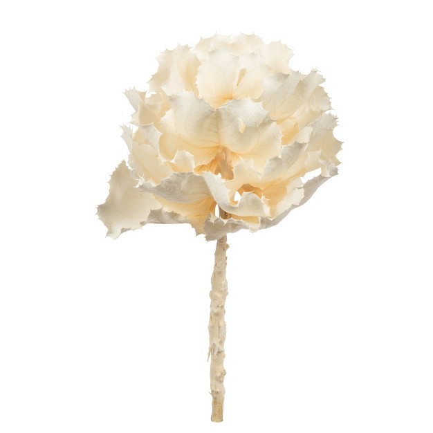 Queen Flower Stem， Dried