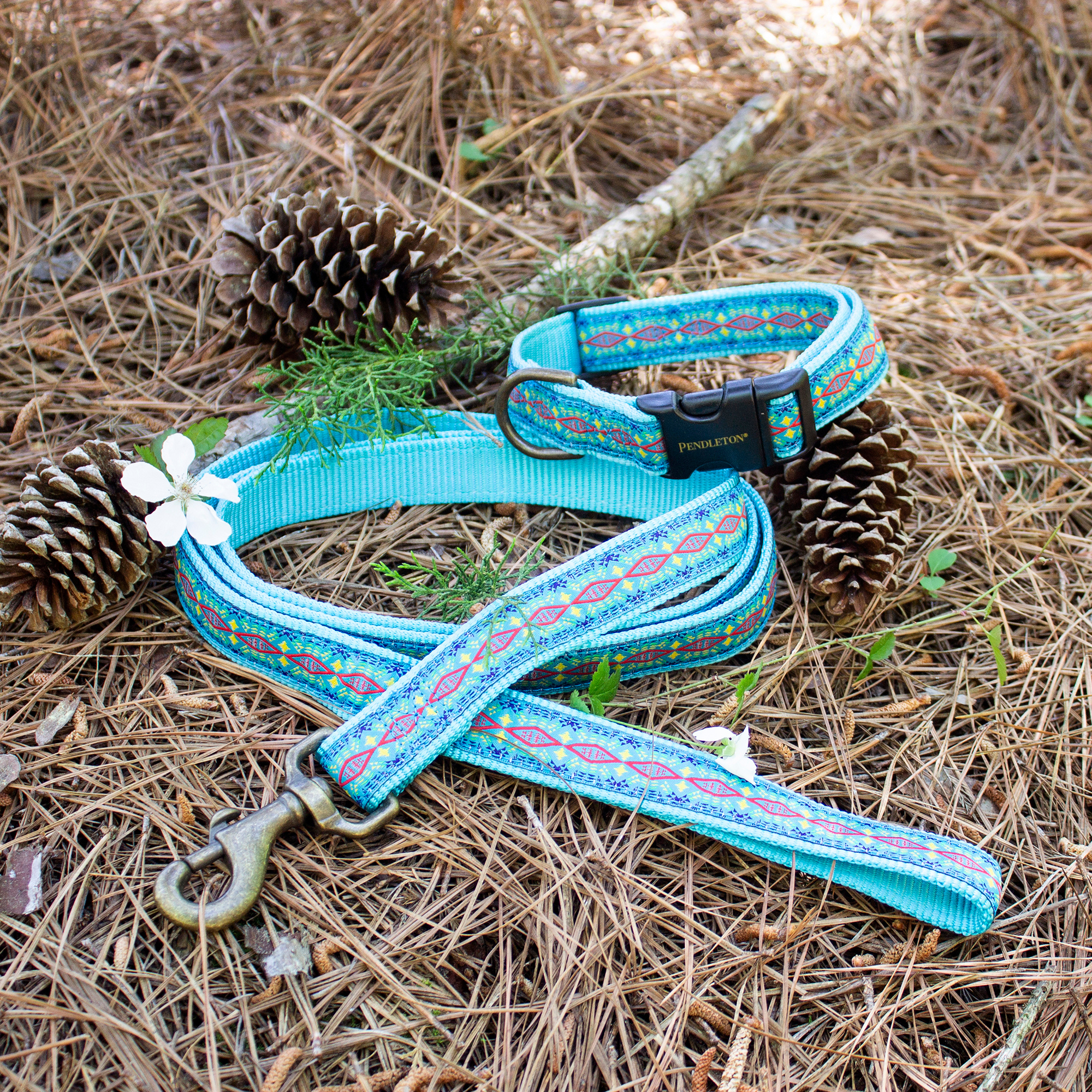 Pendleton Classics Collar | Diamond River Turquoise