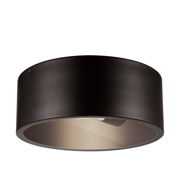 1 Light Teagan Outdoor Indoor Flush Mount Ceiling Dark Bronze Globe Electric