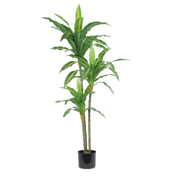 The Mod Greenhouse Artificial Dracaena Plant in Black Matte Planter's Pot