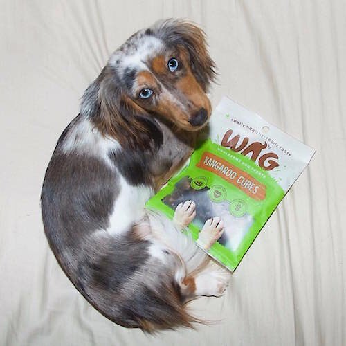 WAG Kangaroo Cubes Grain-Free Dog Treats