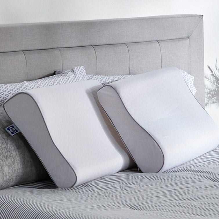 Sealy Essentials Contour Bed Pillow