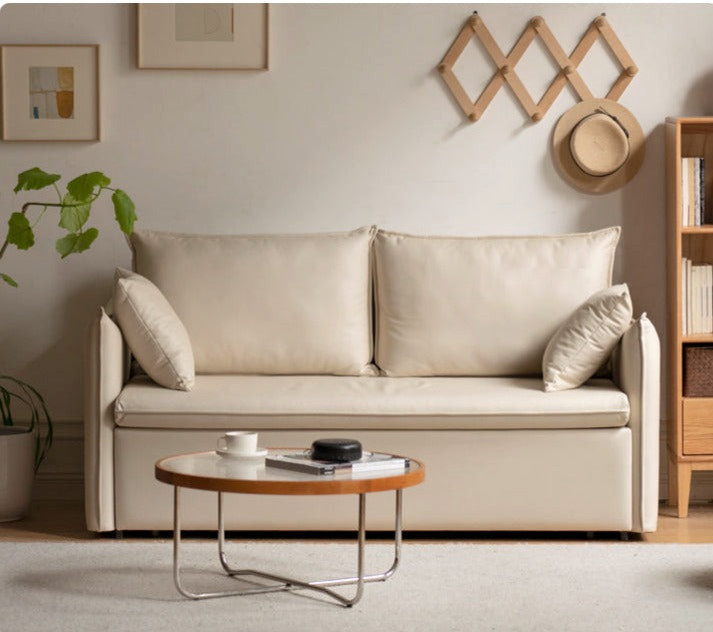 Technology Cloth Sleeper Sofa WIth Storage   Transitional   Sleeper Sofas   by GVAwood  Houzz