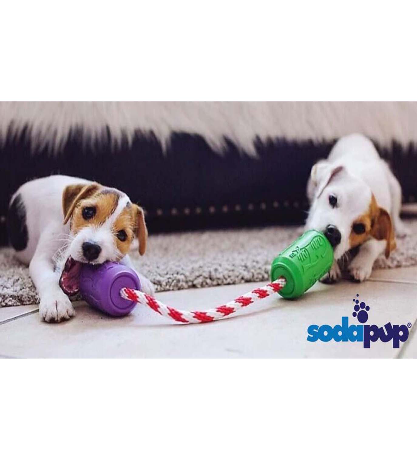 Sodapup Two Fisted Tug Toy for Dogs