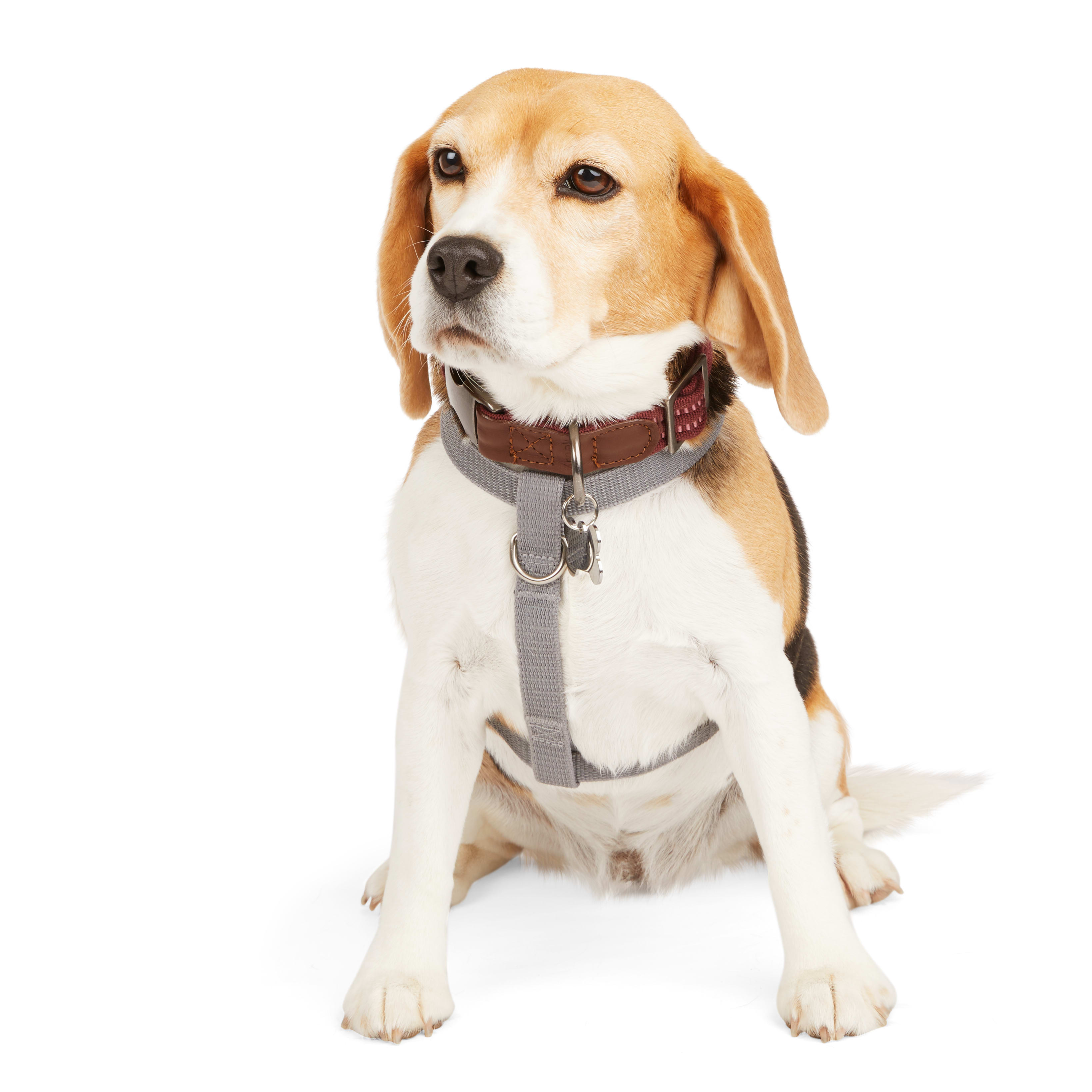 REDDY Grey Reflective Dog Harness， Medium