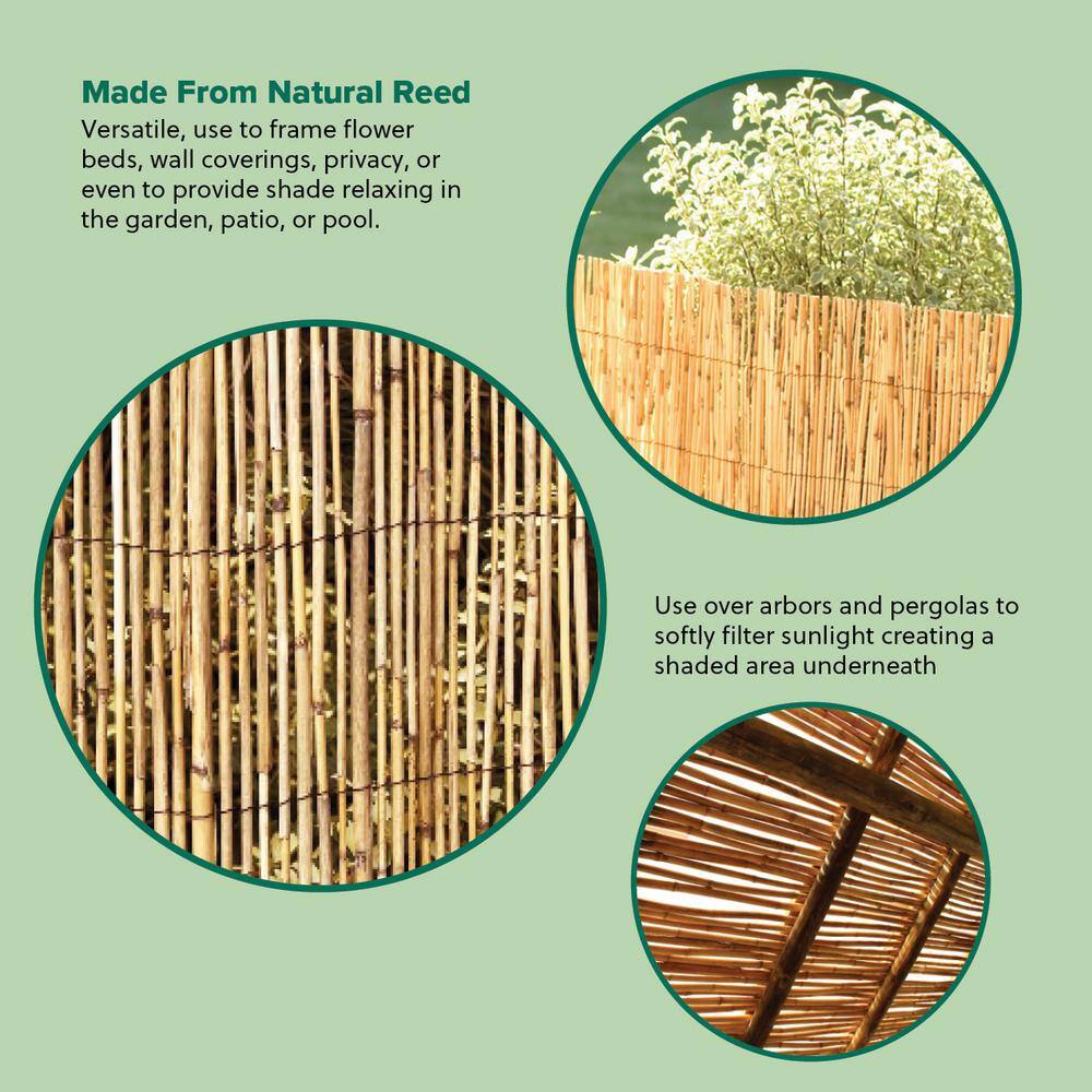 Harbor Gardens 13 ft. L x 6 ft. x 6 ft. H Decorative Garden Reed Wood Fencing R668HG