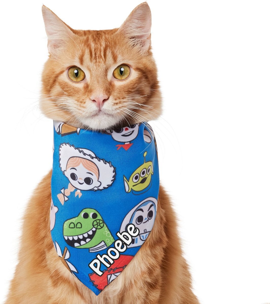 Pixar Toy Story Version2 Personalized Dog and Cat Bandana