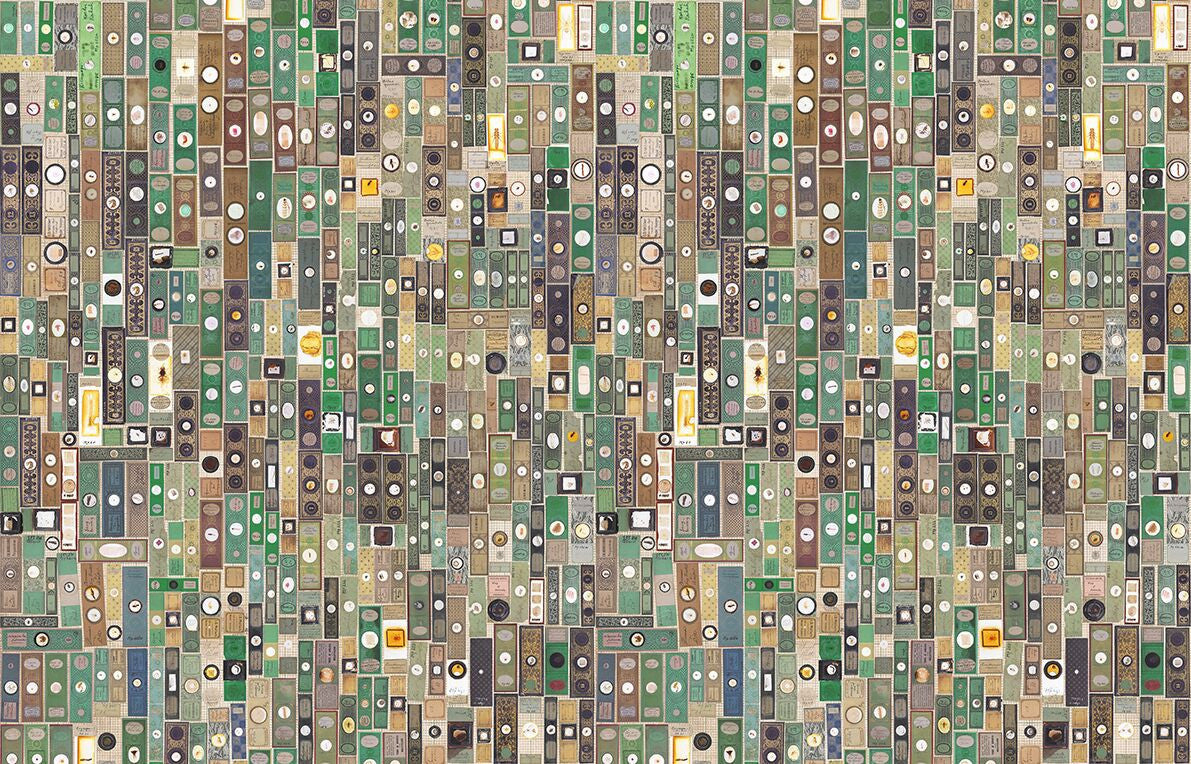 Microscopic Slides Wallpaper by Mr. and Mrs. Vintage Lab