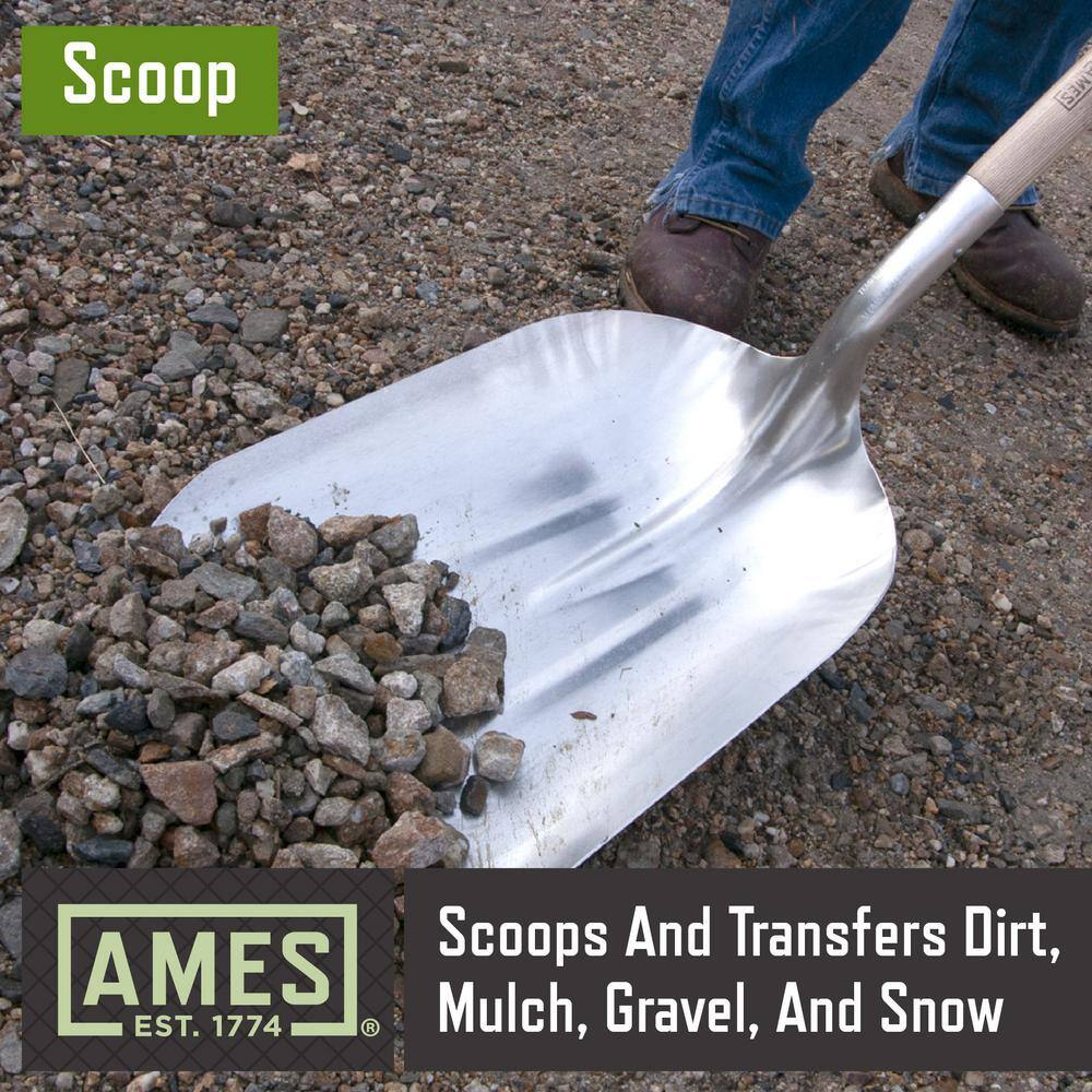 Ames 24.5 in. D-Handle Aluminum Scoop 2672100