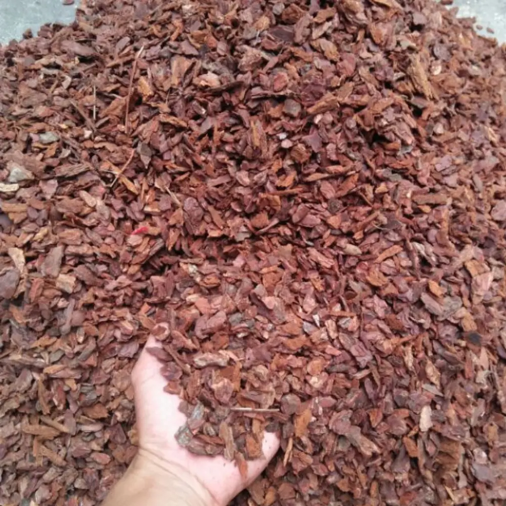 HOT PRODUCT PINE BARK FROM VIET NAM HIGH QUALITY