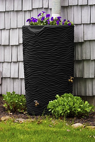 Good Ideas Imp-L65-Blk Impressions Palm Rain Saver， 65 Gallon， Black