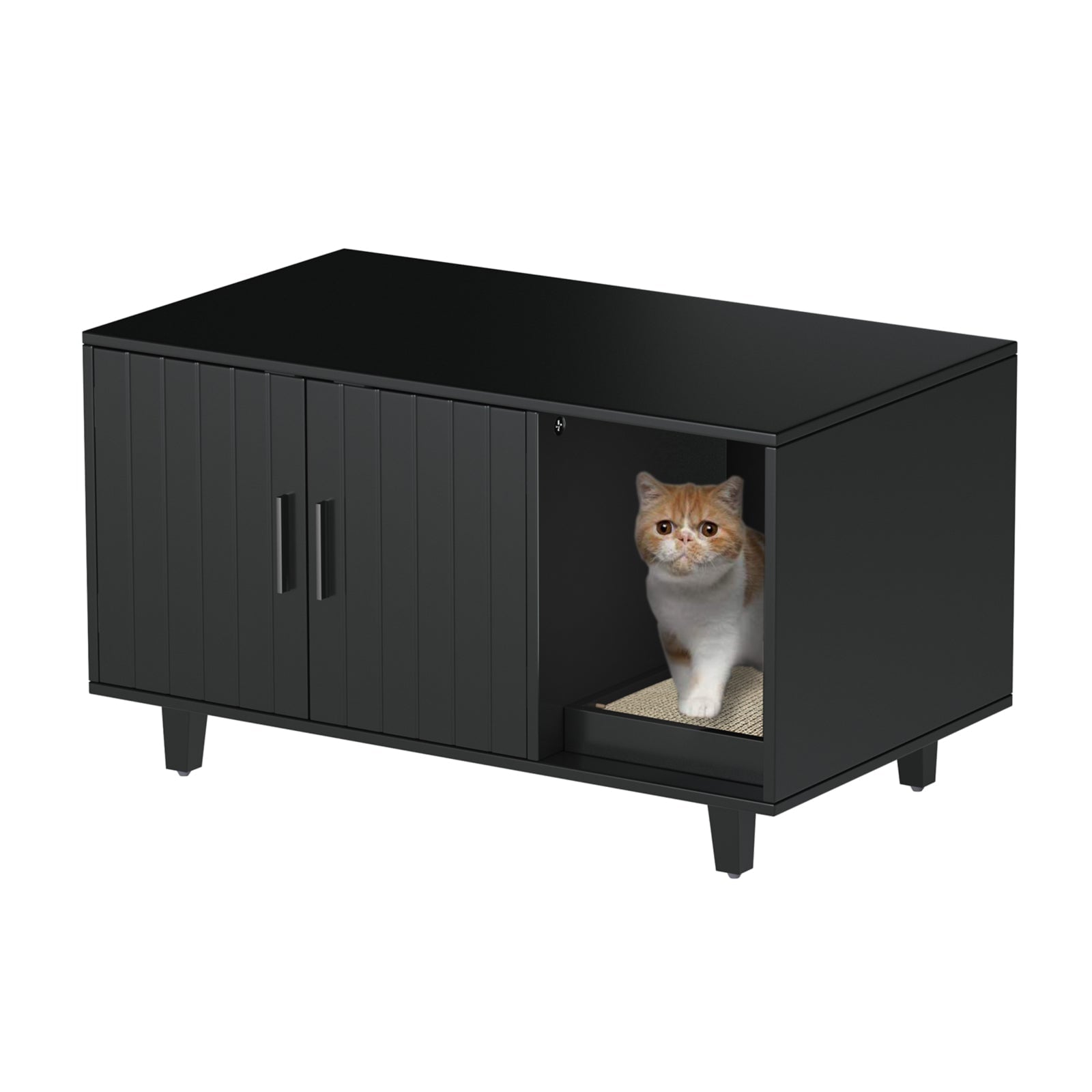 Modern Pet Crate Cat Washroom Hidden Litter Box Enclosure House Table