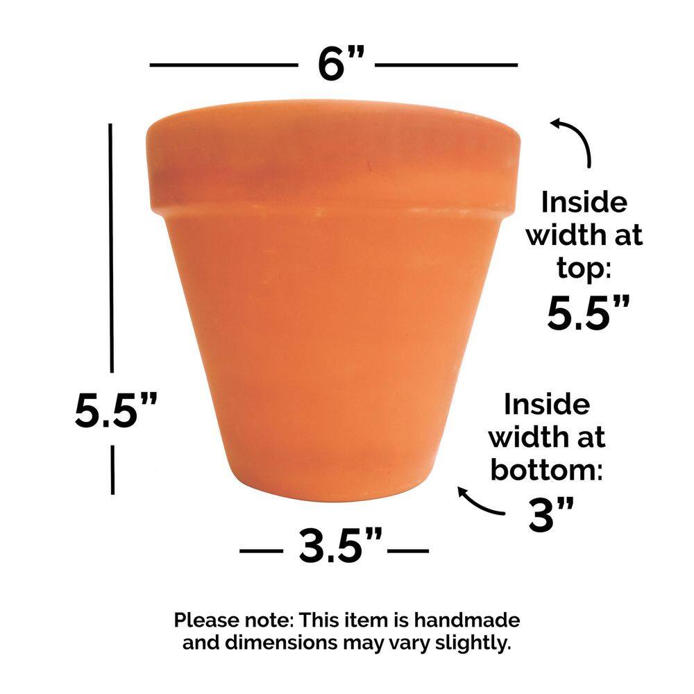 Pennington 6 in. Small Terra Cotta Clay Pot 100043013