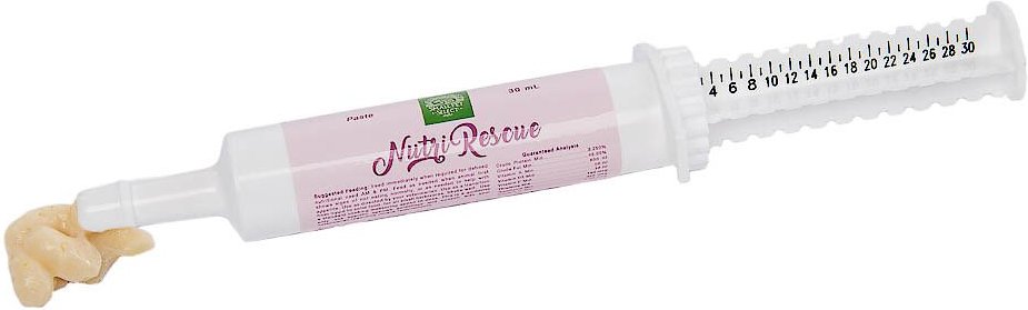 Small Pet Select Nutri-Rescue Small Animal Supplement， 30-ml syringe