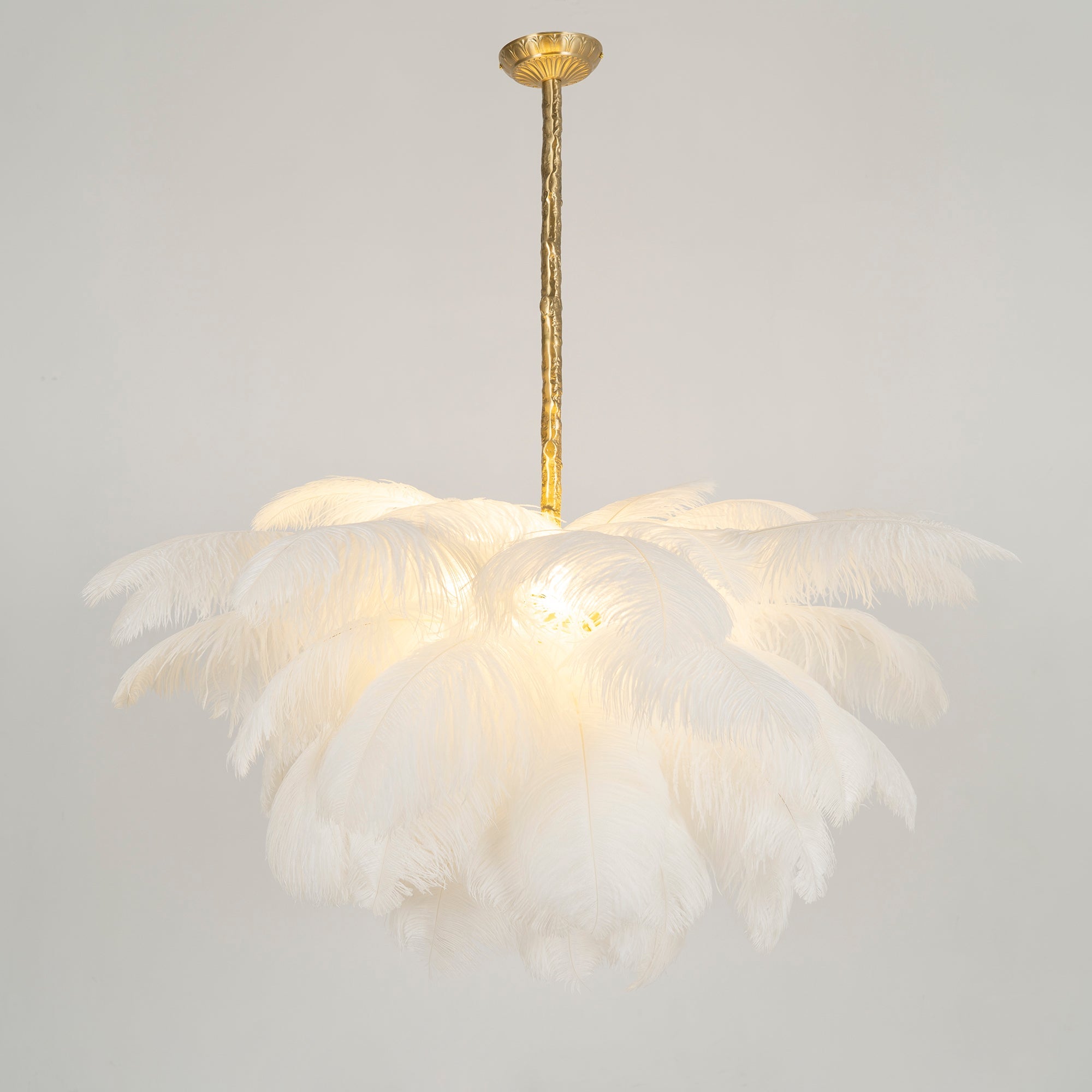 Ostrich Feather Chandelier