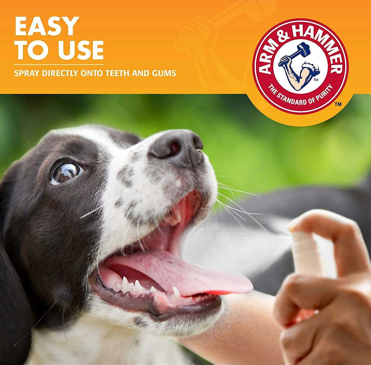 Arm and Hammer Tartar Control Mint Flavored Dog Dental Spray