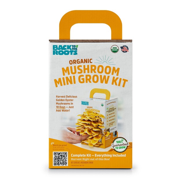 Back To The Roots Organic Mushroom Mini Grow Kit Golden Oyster