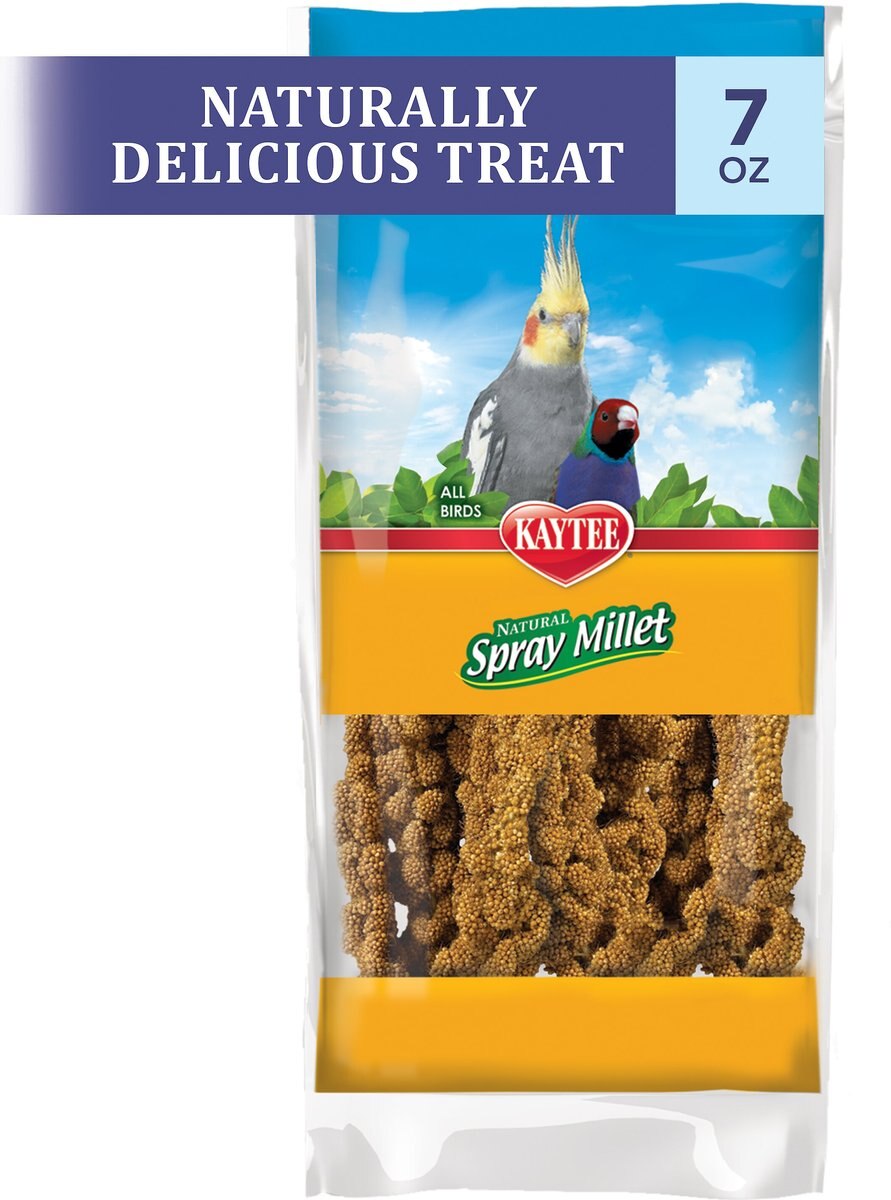 Kaytee Natural Spray Millet Bird Treats