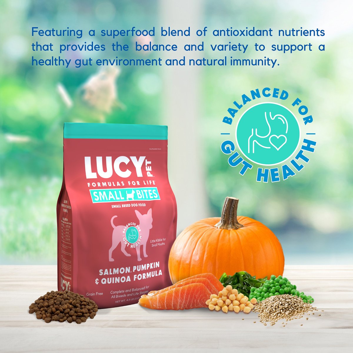 Lucy Pet Products Salmon， Pumpkin and Quinoa Small Bites Dog Food， 4.5-lbs bag